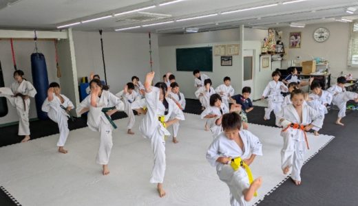 体験・見学ラッシュ！田舎でも空手の輪が広がっています